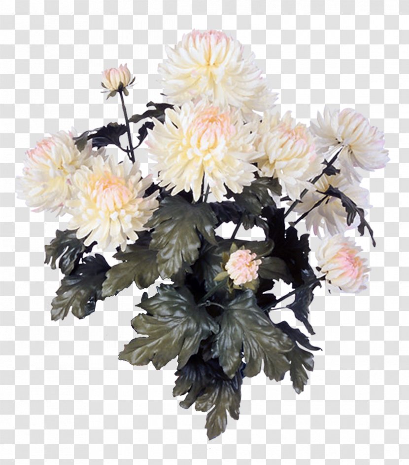 Chrysanthemum Floral Design Cut Flowers Flower Bouquet Transparent PNG