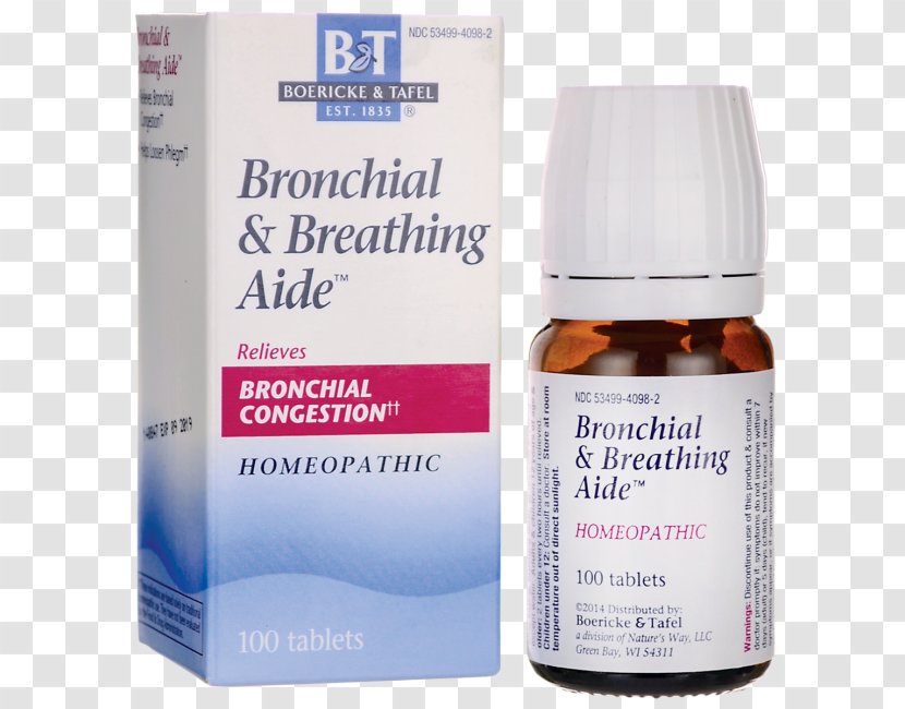 Acute Bronchitis Asthma Bronchus Food Bank - Bronchial Transparent PNG
