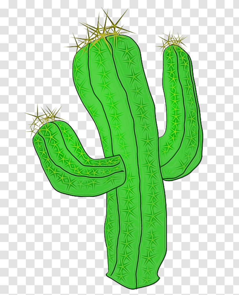 Cactus Transparent PNG