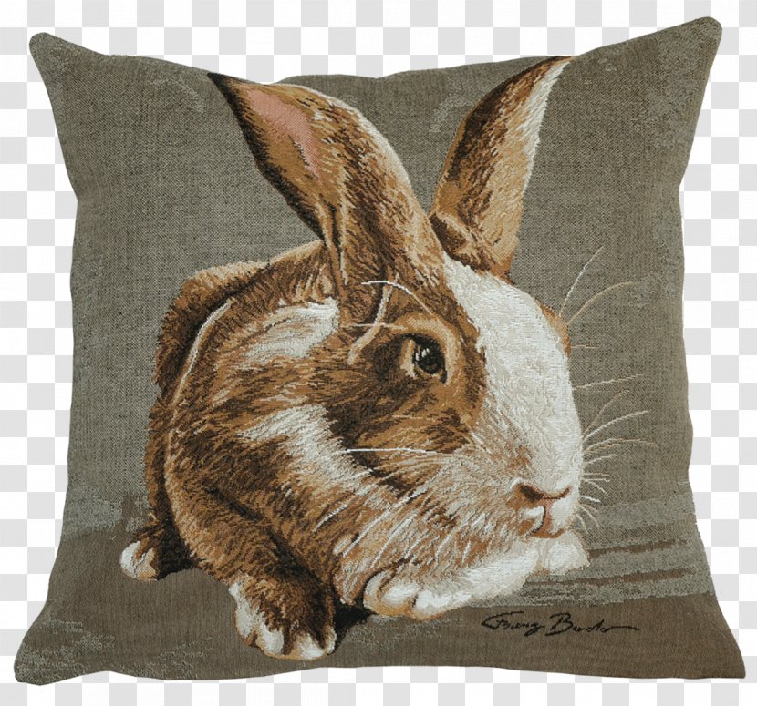 Cushion Domestic Rabbit Throw Pillows Slipcover - Hare - Pillow Transparent PNG