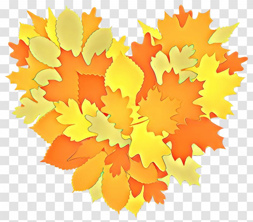 Maple Leaf - Yellow - Plane Woody Plant Transparent PNG