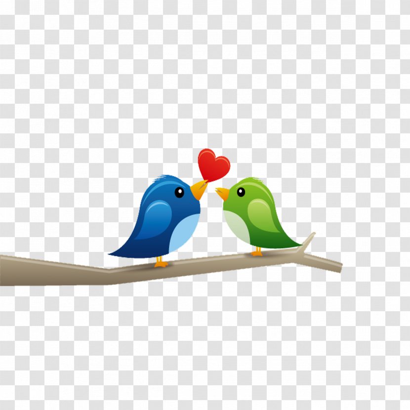 Lovebird Cartoon - Love - Birds Transparent PNG