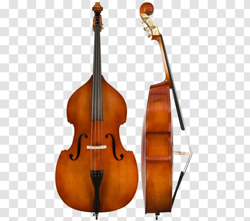 Double Bass Guitar Orchestra Musical Instruments - Tree Transparent PNG