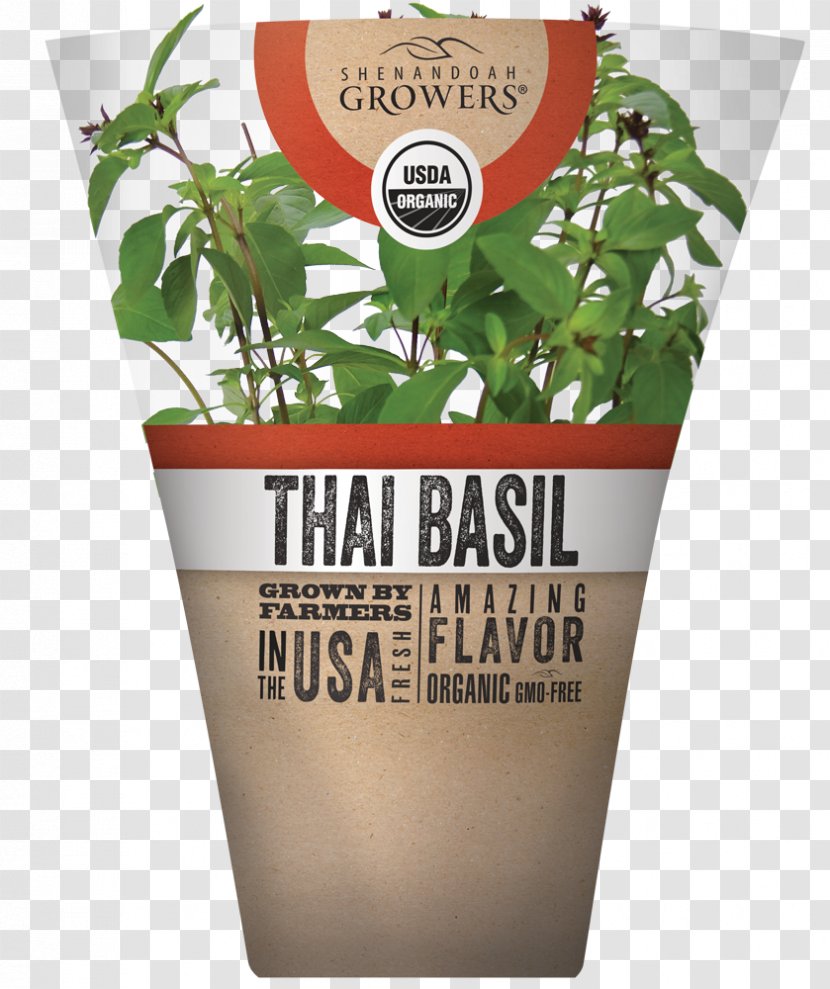 Herb Thai Cuisine Basil Organic Food - Chives Transparent PNG