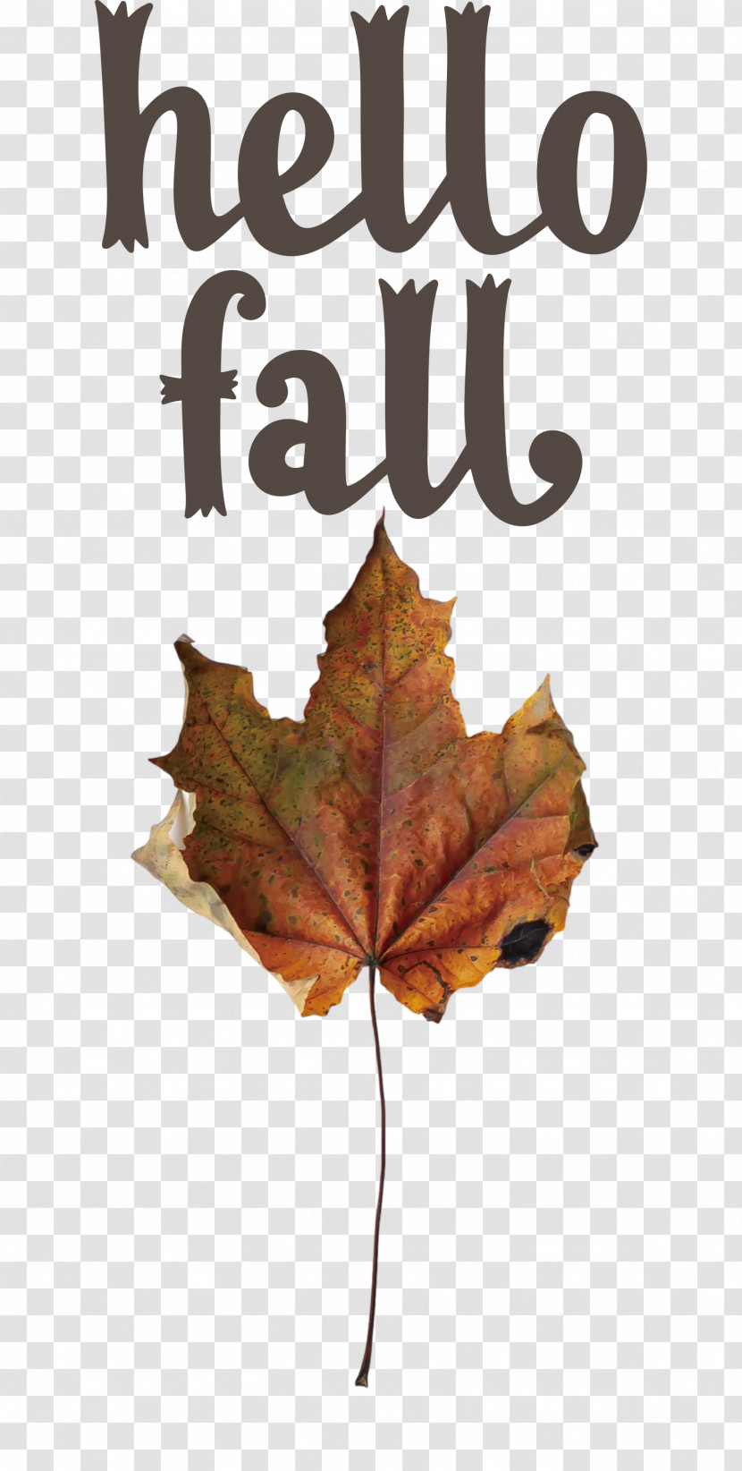 Hello Fall Fall Autumn Transparent PNG