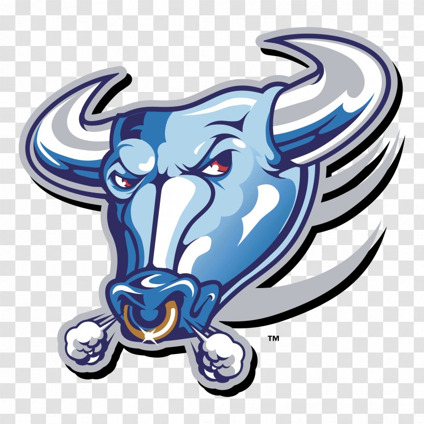 Buffalo Bulls Football Bills Logo - Fictional Character - Bull Transparent PNG