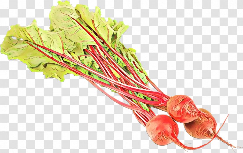 Carrot Cartoon - Plant Vegetable Transparent PNG