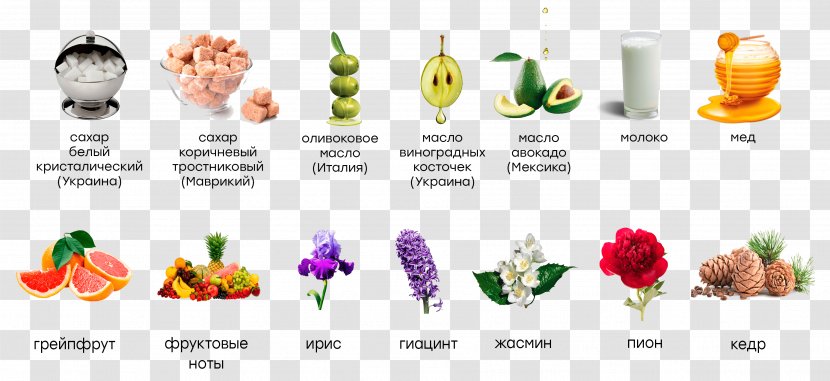 Exfoliation Skin Floral Design Artikel - Plant - Flower Transparent PNG