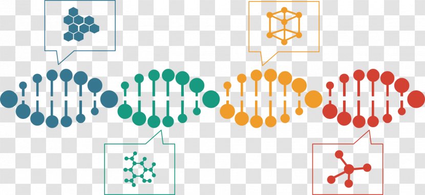 DNA Messenger RNA Nucleic Acid Double Helix Terahertz Radiation - Rna - Ppt Material Transparent PNG