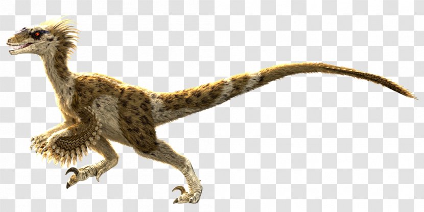 Velociraptor Primal Carnage: Extinction Dinosaur Feather - Carnage - Bearded Dragon Transparent PNG