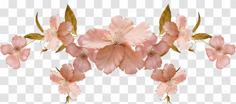 Cut Flowers Flower Bouquet Plant Stem Tulip - Cherry Blossom - 50 Transparent PNG