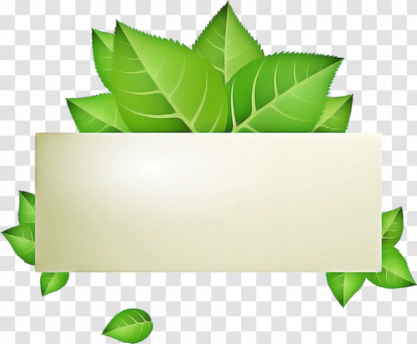 Green Leaf Logo - Herb Ivy Transparent PNG