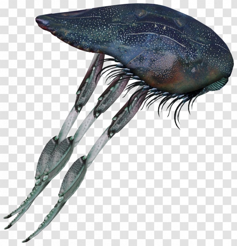Moloch Insect Monster Marine Biology - Decapoda - Creatures Transparent PNG