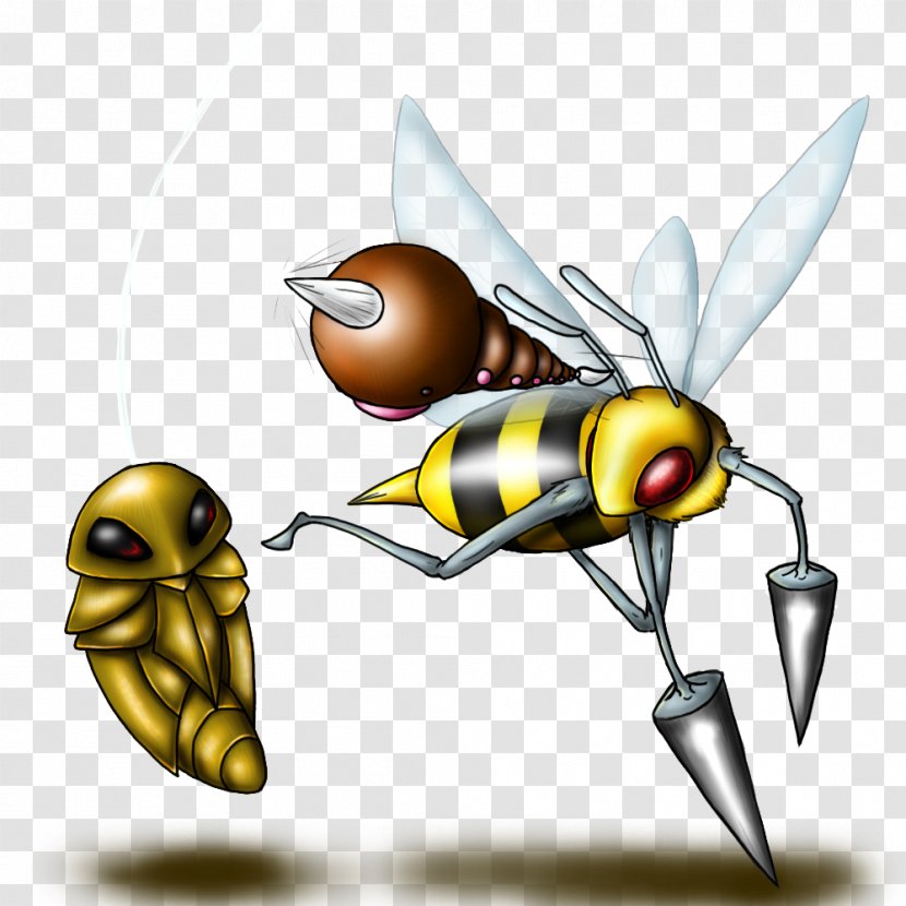Honey Bee Kakuna Weedle Evolution Pokémon X And Y - Rattata - Pokemon Transparent PNG