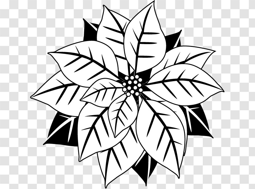Poinsettia Christmas Black And White Flower Clip Art - Presentation - Cliparts Transparent PNG