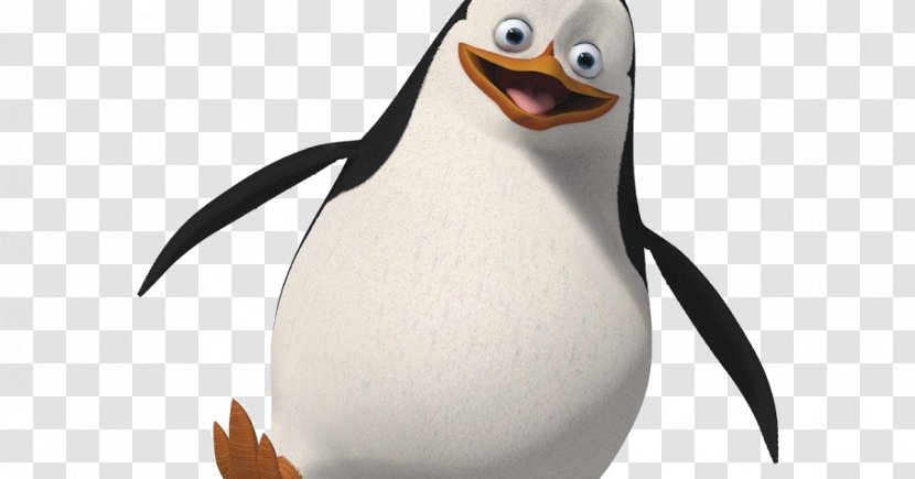 Julien Rico Penguin Madagascar Animation - Beak - Peter Rabbit Transparent PNG