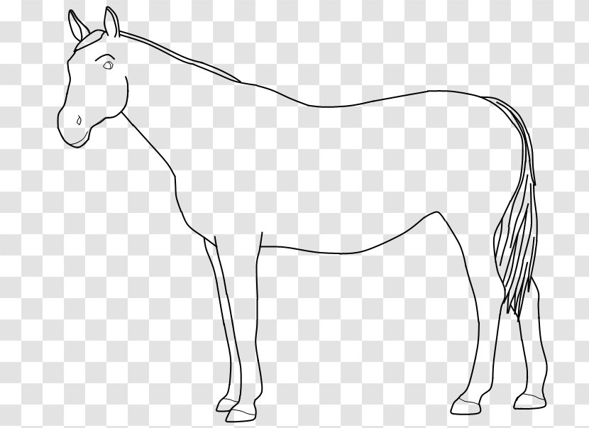 Mule Bridle Foal Colt Halter - Fictional Character - Mustang Transparent PNG