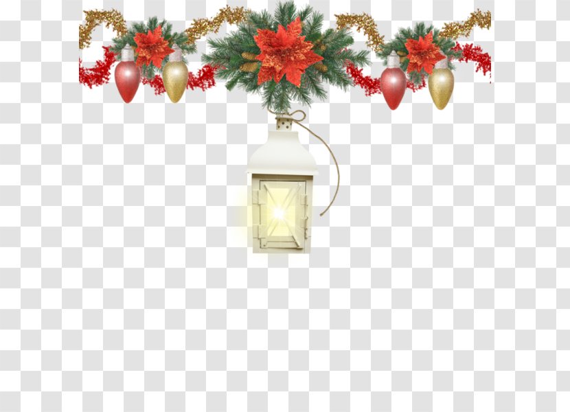 Christmas Flower - Decor Transparent PNG