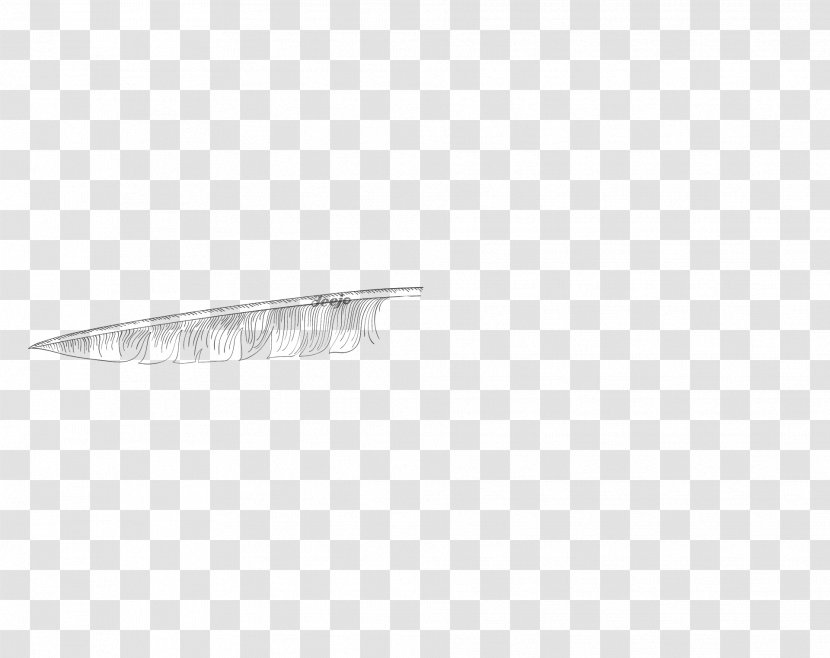 Product Design Feather Angle - Plumas Transparent PNG