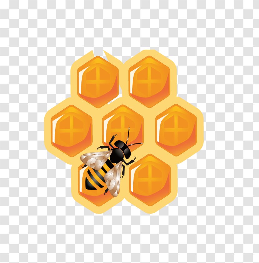 Honey Bee Honeycomb Icon - Invertebrate - Vector Hive Transparent PNG