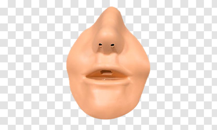Nose Mouth Nostril Lip Chin - Face Transparent PNG