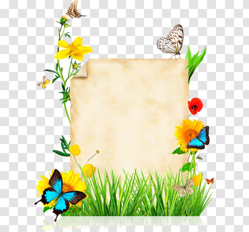 Butterfly Paper Flower Stock Photography Clip Art - Royaltyfree Transparent PNG