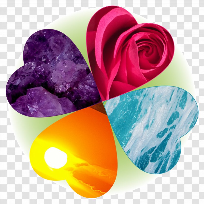 Plastic Petal - Clover Transparent PNG