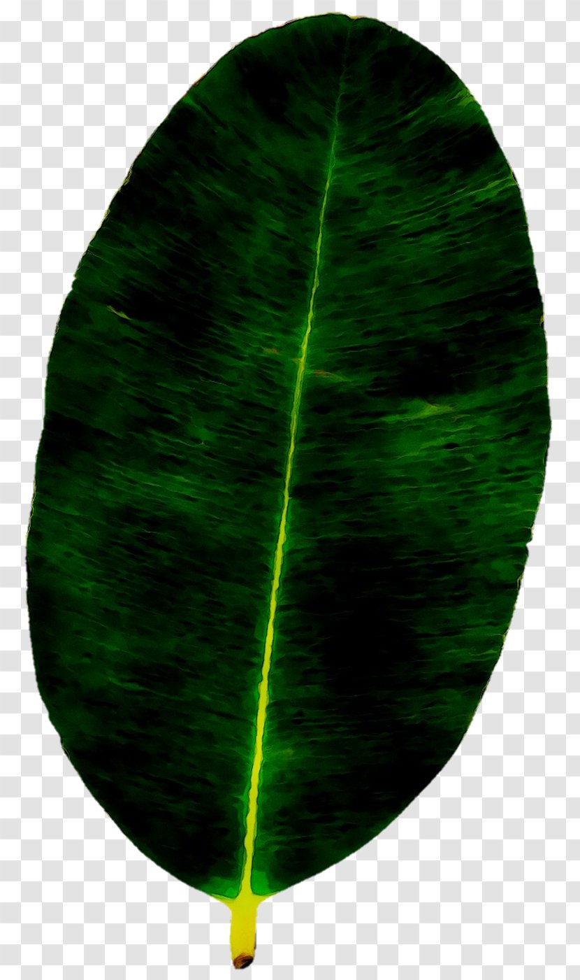 Green Leaf - Symmetry - Plant Transparent PNG
