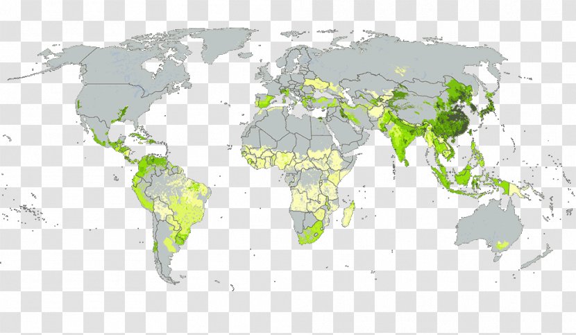 World Map Globe - Blank Transparent PNG