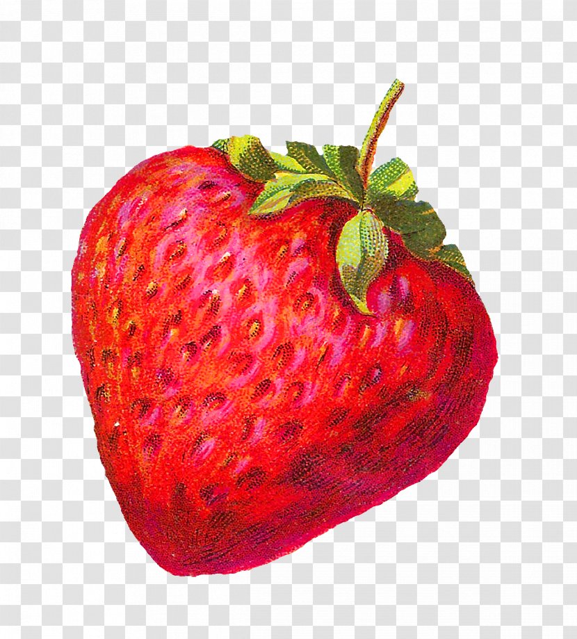 Strawberry Shortcake Fruit Clip Art - Blog - Berries Transparent PNG