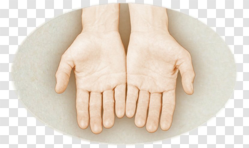 Thumb Hand Model - Give Transparent PNG