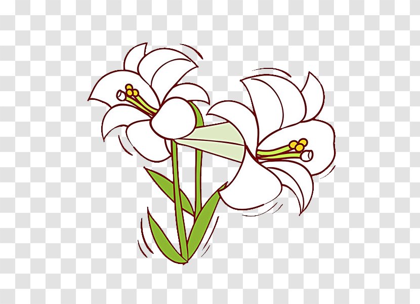Lilium Flower Floral Design - Tarot - Hand-painted Lily Transparent PNG