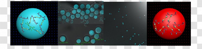 Teal Desktop Wallpaper Turquoise Computer Transparent PNG