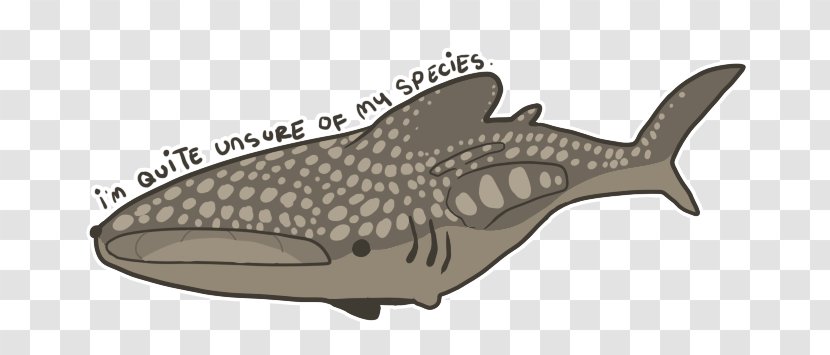 Shoe Marine Mammal - Whale Drawing Transparent PNG