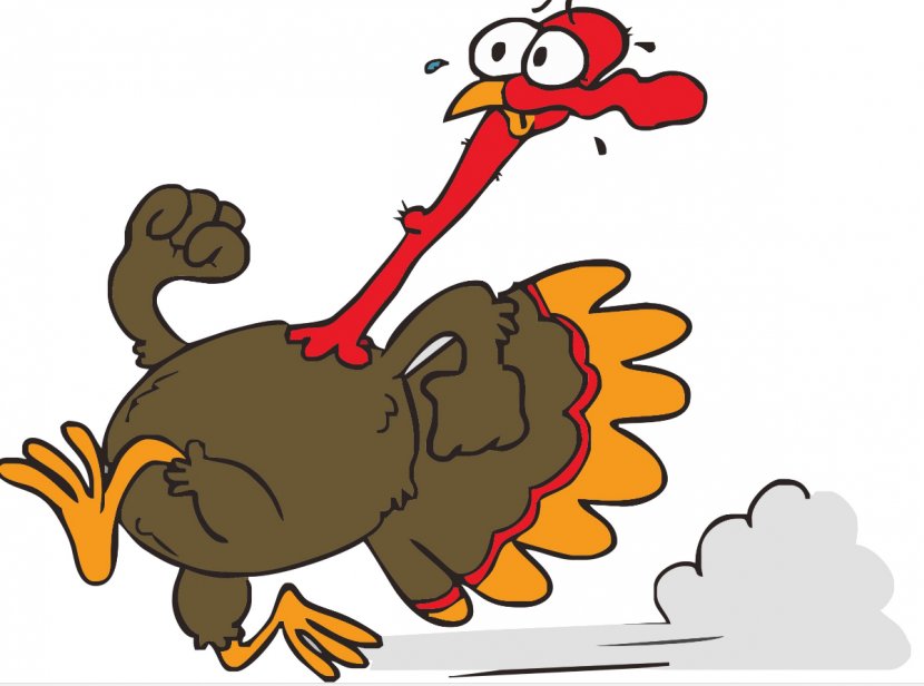 Thanksgiving Day CrossFit Physical Exercise Fitness - Highintensity Interval Training - Thanks Giving Transparent PNG