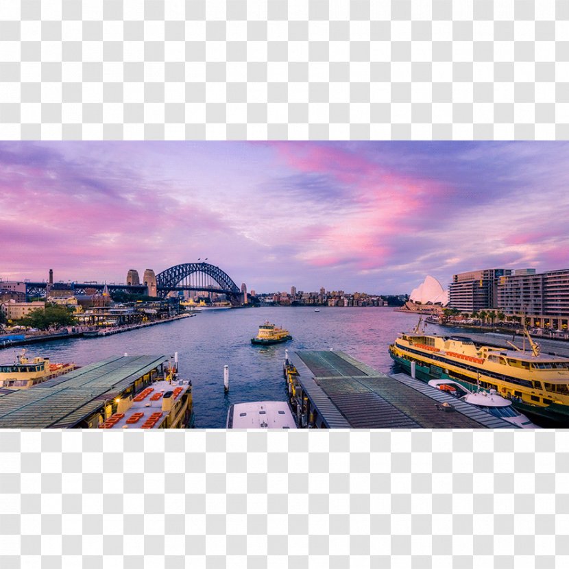 Sydney Opera House Landscape Photography Panorama Cityscape - Printmaking Transparent PNG