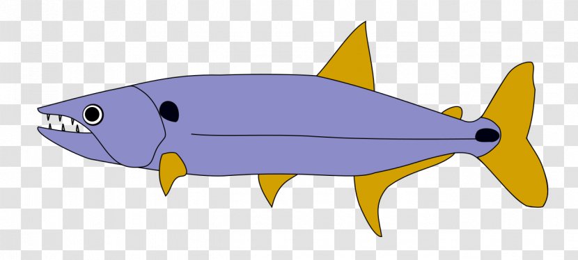 Acestrorhynchus Lacustris Orinoco Fish Hoplias Malabaricus - Cartoon - Tri Transparent PNG