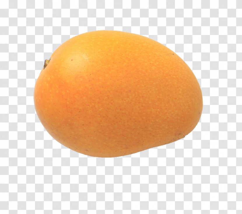 Grapefruit Clementine Orange - A Little Mango Transparent PNG