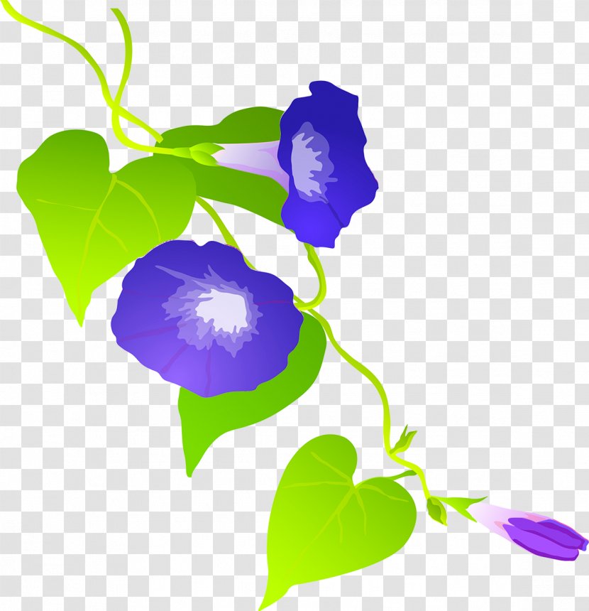 Flower Clip Art - Tires Transparent PNG