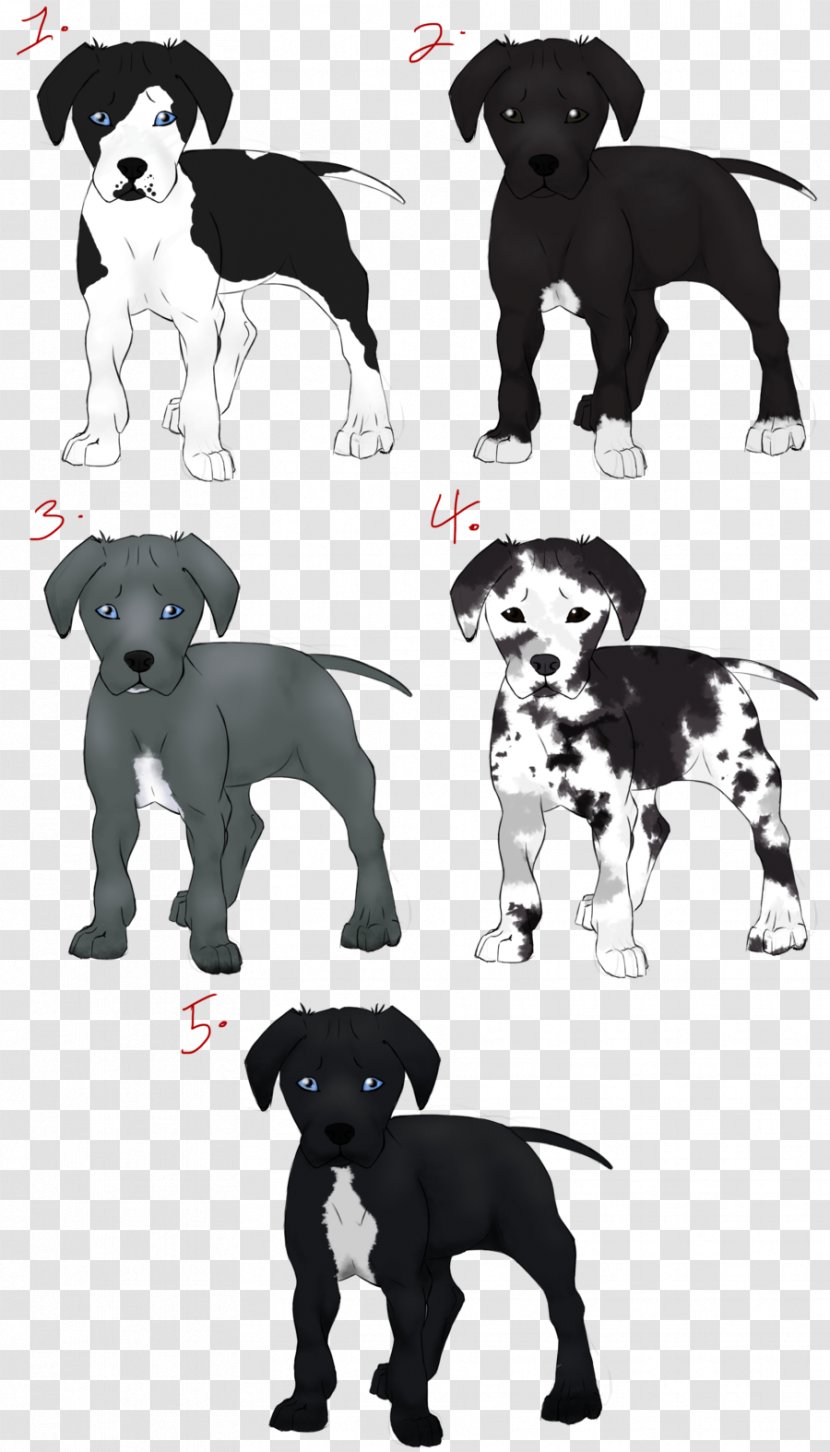 Great Dane Puppy Dog Breed Non-sporting Group White - Like Mammal Transparent PNG
