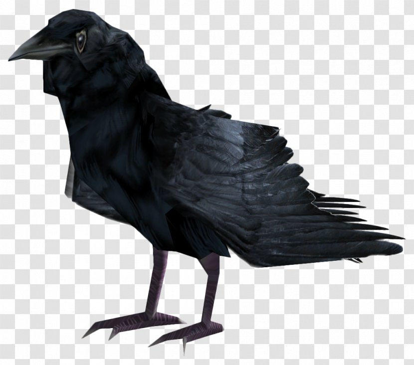 Fallout 4 American Crow Common Raven Bird Fish Transparent PNG