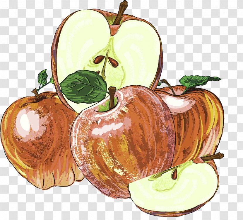 Apple Drawing - Food - Brown Hand-painted Decorative Pattern Transparent PNG