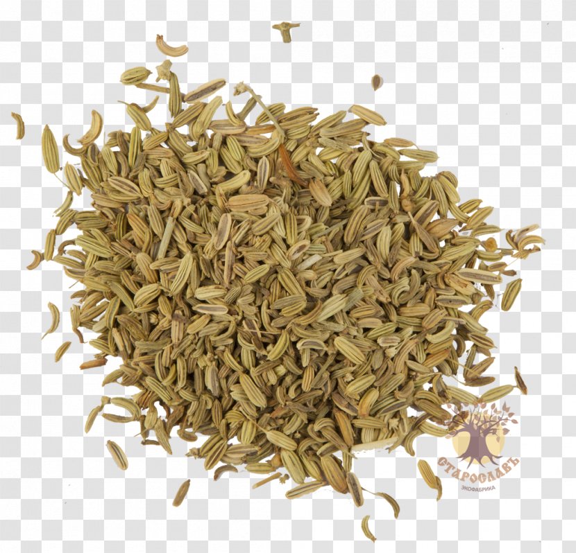 Earl Grey Tea Hōjicha Caraway Spice - Seed Transparent PNG