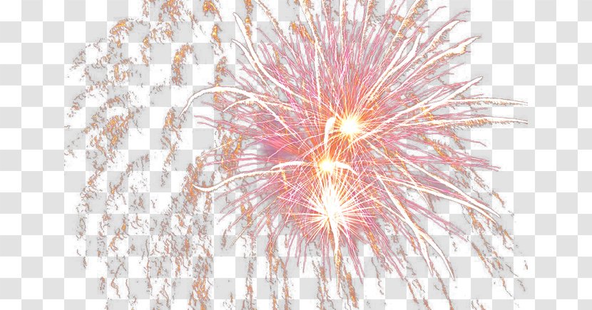 Fireworks Sky Tree Computer Wallpaper Transparent PNG