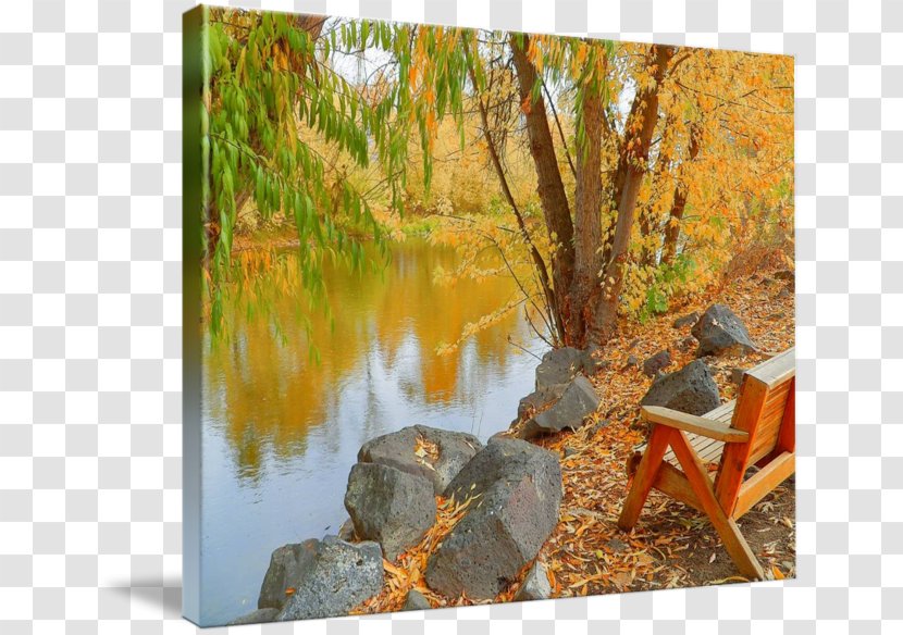 Gallery Wrap Fauna Art Canvas Pond - Park Transparent PNG