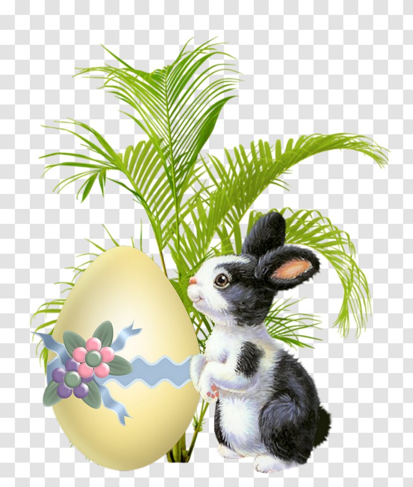 Easter Bunny Background - Penjing - Rabbits And Hares Transparent PNG