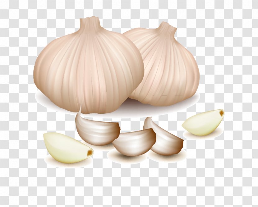 Vegetable Garlic Spice - Cooking Transparent PNG