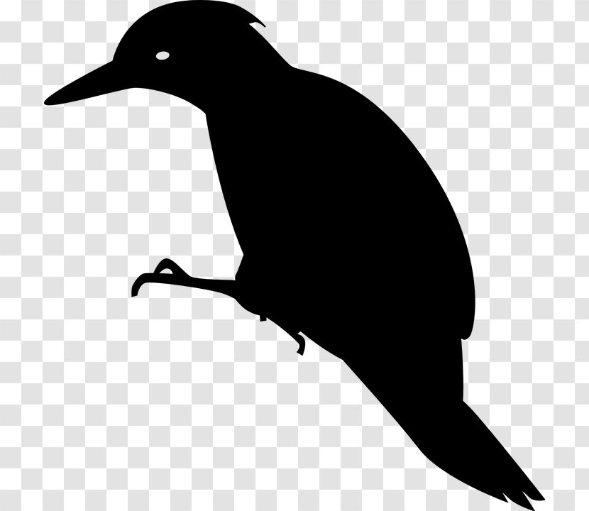Woody Woodpecker Clip Art - Black And White - Vogelschwarz Transparent PNG