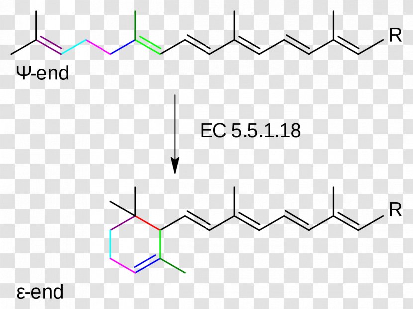 Lycopene Epsilon-cyclase Adenylyl Cyclase Catalysis Enzyme - Commission Number Transparent PNG