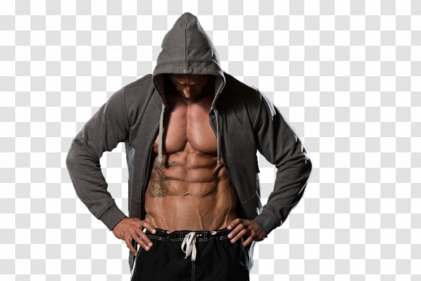 Muscle Weight Training Health Life Nutrition - Hood - Musculation Transparent PNG
